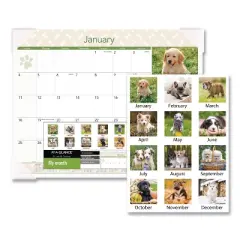 Puppies Monthly Desk Pad Calendar, Puppies Photography, 22 x 17, White Sheets, Clear Corners, 12-Month (Jan to Dec): 2026