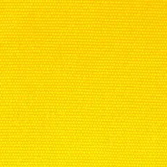 Director's Chair Replacement Canvas Gold - Flora Home