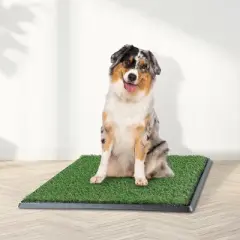 Artificial Grass Puppy Pee Pad for Dogs and Small Pets - 20x25 Reusable 4-Layer Training Potty Pad with Tray - Dog Housebreaking Supplies by PETMAKER