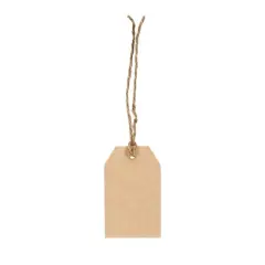 10ct Kraft Gift Tags Brown - Spritz&trade;