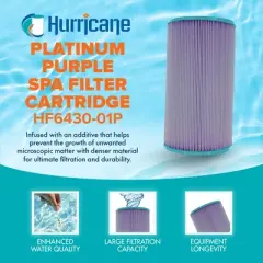 Hurricane 4 Pack HF6430-01P Platinum Purple Spa Filter Cartridge Replacement for PWK30, Unicel C-6430, Filbur FC-3915, Watkins Hot Spring Spas