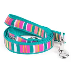 The Worthy Dog Fiesta Stripe Dog Leash