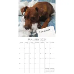 The Gifted Stationery 2024 Square Wall Calendar, Dog Shaming, 16-Month Humor Theme with 180 Reminder Stickers (12 x 12 In)