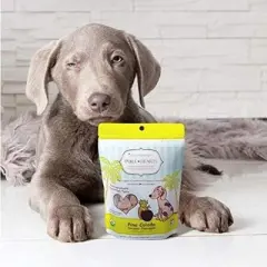 Cocotherapy Pure Hearts Coconut Cookies &ndash; Pina Colada (Pineapple Coconut), (1 Pouch), 5 Oz.