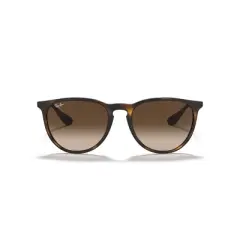 Ray-Ban RB4171 54mm Erika Female Phantos Sunglasses