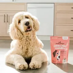 Ready Pet Go Joint & Hip Mobility Chews for Dogs, With Glucosamine Chondroitin MSM, Turmeric & Hyaluronic Acid, Grilled Chicken Flavor, 60 or 90ct