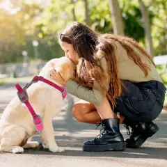 Unique Bargains Reflective Adjustable Dog Harness Rose Red 1 Pc
