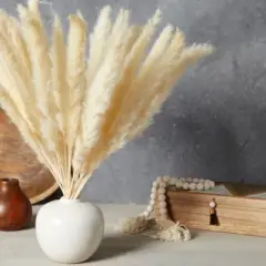 Juvale 30 Pack Dried White Pampas Grass for Vase, Wedding, Rustic-Style Farmhouse Decor, Boho-Themed Home Decor, 17 In