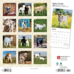 Browntrout 2024 Wall Calendar 12"x12" Baby Goats
