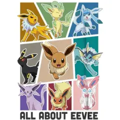 Boy's Pokemon All About Eevee Eeveeloution T-Shirt