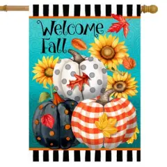 Briarwood Lane Fall House Flag 40x28 For Outdoor Perfectly Patterned Pumpkins For Fall House Flag