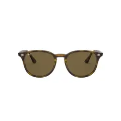Ray-Ban RB4259 51mm Unisex Irregular Sunglasses