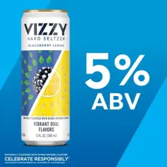 VIZZY Hard Seltzer Refreshingly Berry Variety Pack #2 - 12pk/12 fl oz Slim Cans
