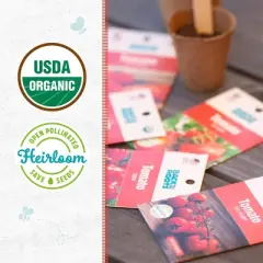 Back to the Roots 5pk Organic Tomato Seeds Variety