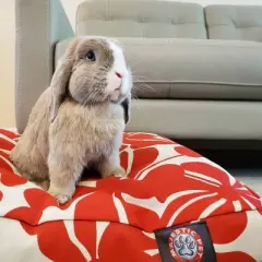 Majestic Pet Plantation Rectangle Dog Bed