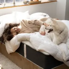 Lincove 12 Inch Spring Hybrid and Memory Foam Mattress - Medium Firm Mattress CertiPUR-US Certified - Adaptive Support, Pressure Relief - Made in USA