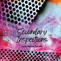 Secondary Inspections - by  Carla Rachel Sameth (Paperback)