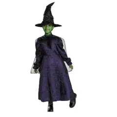 Wicked Girls' Elphaba Adaptive Halloween Costume Dress - Purple - 7-8