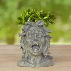 Darware Resin Medusa Head Planter, Garden Decor Statue Flower Pot
