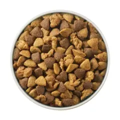 Purina ONE Joint Health with Chicken Dry Dog Food - 16.5lbs