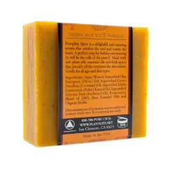 Pumpkin Spice Bar Soap 2-Pack | Cozy Aromatherapy Cleanser with Warm, Spiced Scent | Natural Daily Body Care | Plantlife