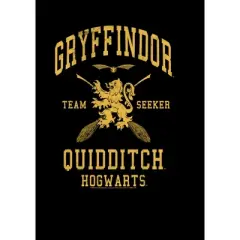Boy's Harry Potter Gryffindor Quidditch Gold Team Seeker T-Shirt