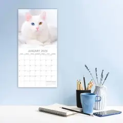 2026 Square Wall Calendar, Top Cats, 16-Month Animals Theme with 180 Reminder Stickers (12x12 In)