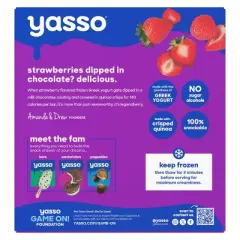 Yasso Frozen Greek Yogurt Indulgent Strawberry Chocolate Crunch - 10.6 fl oz/4ct