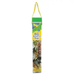 Insect Lore Big Bunch O' Bugs, Set of 18