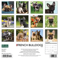 Willow Creek Press 2024 Wall Calendar 12"x12" Just French Bulldogs