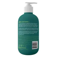 Goodwipes Down There Botanical Balance Wash - 8fl oz