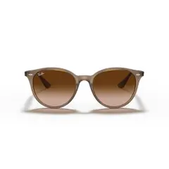 Ray-Ban RB4305 53mm Unisex Phantos Sunglasses