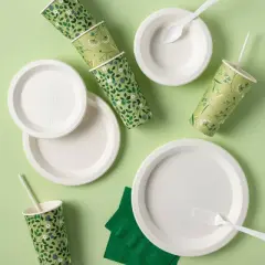 Disposable Plate 8.5" - White - 20ct - Everspring&trade;