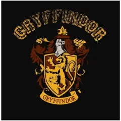 Harry Potter Gryffindor Black T-Shirt Toddler Boy to Youth Boy