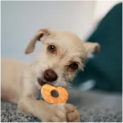 Fieldcrest Farms Nothin' to Hide Rings and Bones Beef Flavored Dog Chew (Pack of 12)