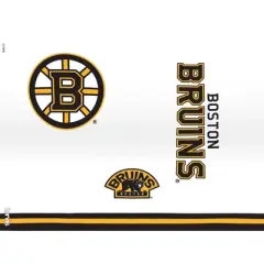 NHL Boston Bruins 24oz Arctic Classic Tumbler