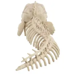 Seasons USA Eel Skeleton Prop Halloween Decoration -  - Off-White