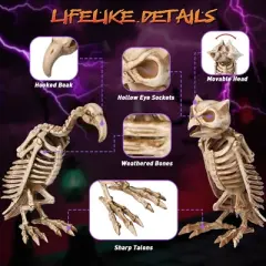 Yescom 1 Pcs Vulture & 1 Pcs Owl Skeleton Halloween Decor Life Size Animal Props Indoor Outdoor 2025