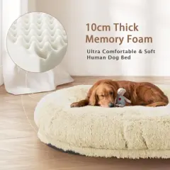 71''x45''x12''  Human Dog Bed Fits Adult 10 CM Thick Memory Foam Washable Oversize Dog Bed with Plump Pillow, Blanket, Strap - Beige