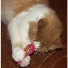 Yeowww! 100% Organic Catnip Stinkies Sardines, Variety Pack of 6 Total