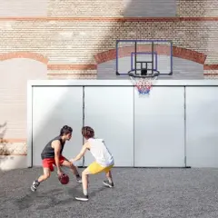 Dexmalle Wall-mounted basketball hoop