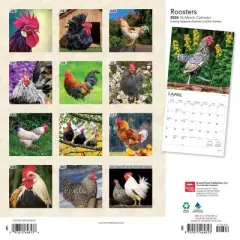 Browntrout 2024 Wall Calendar 12"x12" Roosters