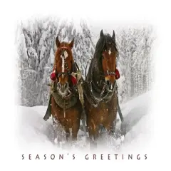 CEO Cards Holiday Greeting Card Box Set of 25 Cards & 26 Envelopes - H7054