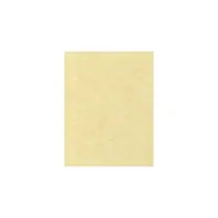 LUX Cardstock 8.5 x 11 inch Gold Parchment 250/Pack 81211-C-41-250