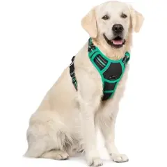 rabbitgoo Dog Harness No Pull with 2 Leash Clips, Control Handle for Large Dogs, Black & Turquoise, XL