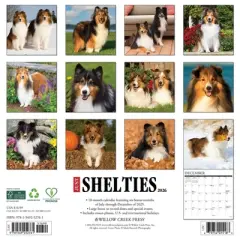 Willow Creek Press 12"x12" 2026 Shelties Wall Calendar