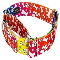 Country Brook Petz 1 1/2 Inch Trippy Doggo Martingale Dog Collar