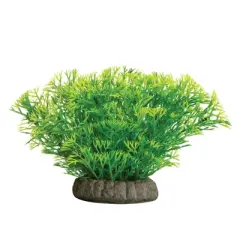 GloFish Green Medium Fluorescent Under Blue LED Light Java Moss Plant Aquarium Decor