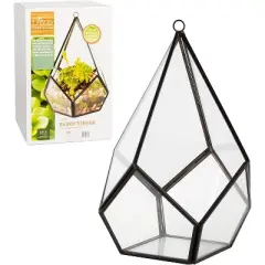 D'Eco Glass Geometric Plant Terrarium (5.7x5.7x7) - Indoor Tabletop & Hanging Teardrop Planter Holiday Decor - Christmas Gift for Plant Lovers