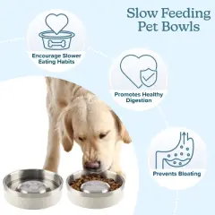 PETMAKER Double Wall Stainless Steel Dog Bowls